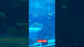 #dubaimall #aqurium #live #seafish #2023