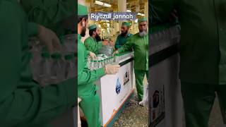 Riyazul jannah #riazuljannah #madinah #makkah #pakistan #saudiarabia #shortvideo #shorts makkah naat