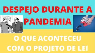 DEVENDO ALUGUEL – POSSO SER DESPEJADO DURANTE A PANDEMIA – SAIBA MAIS - O QUE ACONTECEU ?