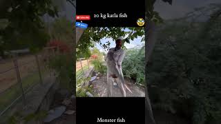 Big catch in river #virulshort #fishing #reels #bigfish #fish #fishingvideo #fy #fypシ゚viral #fyp