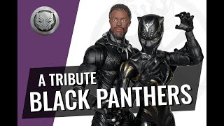 Hasbro Marvel Legends Series Black Panther and Marvel Legacy Series Black Panther unboxing & review