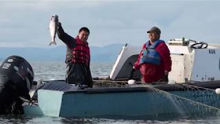 The Benefits of Frozen-Fresh Alaska Seafood