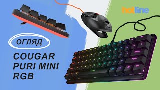 Тільки поглянь! Огляд Cougar Puri Mini RGB🌈 на hotline.ua