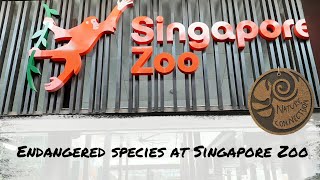 Endangered Species at Singapore Zoo | Mandai Wildlife Reserve | Nature Connection