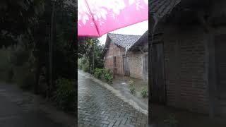 rural life in Indonesia, walking in heavy rain #shorts #fyp #viral #villagelife #rain