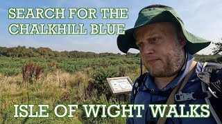 Search for the Chalkhill Blue Butterfly | Isle of Wight Walks | Cool Dudes Walking Club