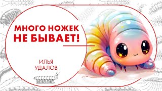 Много ножек не бывает! Илья Удалов