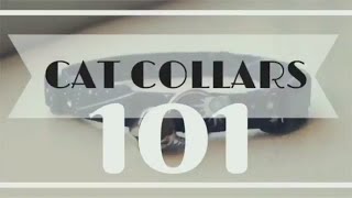 Cat Collars 101