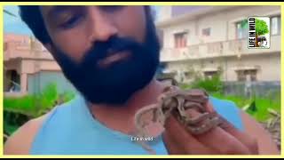 SNAKE EGGS HATCHING | ಹಾವಿನ ಮರಿಗಳ ರಕ್ಷಣೆ | Life in wild