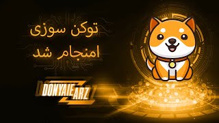 توکن سوزی بیبی دوج انجام شد