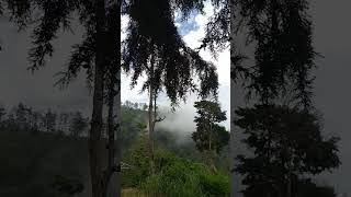 Suara merdu di Bukit Kinasih lereng Merbabu #bukit #Merbabu #kabut #fypyoutube