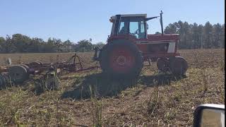 Ih 1586 rye planting 11/1/2020