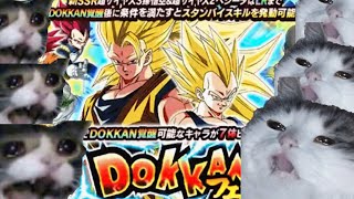 1 Rotation! SSJ3 Goku & SSJ2 Vegeta!