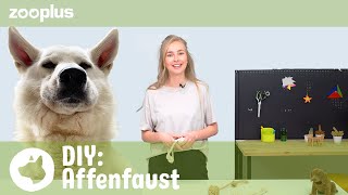 Affenfaust Hundespielzug selber machen | Tierisch einfach: DIY mit Luisa | zooplus