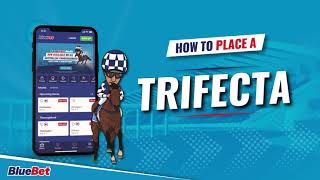 How To Place A Trifecta Bet