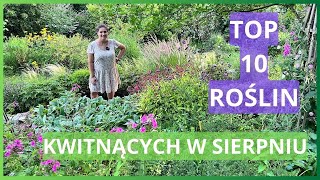 Top 10 kwiatów na sierpień - najlepsze kwiaty do sierpniowego ogrodu