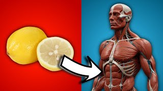 Top 7 Mind-Blowing Health Benefits of Lemon You Should Know