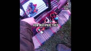 Vintage WWE Wrestling Figures At Car Boot Sale #heman #wwe #carbootsale #shorts #carboot #reseller