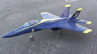 F-18 Hornet Blue Angels Jet stuck landing gear