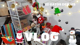 NATAL DOS 12 GATOS DEMAIS | 12 GATOS DEMAIS