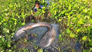 Fishing Video || The skilled village boy know all the tricks of fishing in the river | Viral fishing