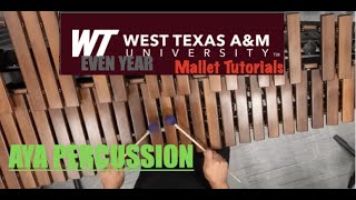 2022 WTAMU Even Year Mallet Full Tutorial and Runs (80)