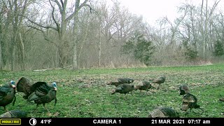 2021 Turkey Hunting Tips 101, Meet Jerry Wells First time Turkey Hunter