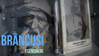 Constantin Brâncuși în colecțiile Bibliotecii Aman | Brâncuși. Al lumii