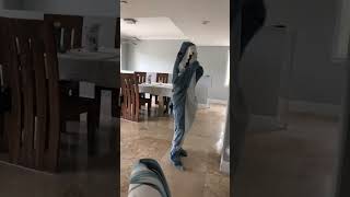 Abaracdabra dance with shark blanket like and sub! #abracadabra Germandance  #planesactive