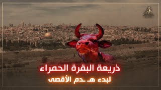 قصة البقرات الحمر التي ذكرها أبو عبيدة، وعلاقتها بهــ دم المسجد الأقـ صى وبناء الهيـ كل المزعوم.