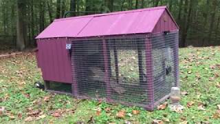 Little Cottage Co Atlanta Chicken Coop - Review and modifications