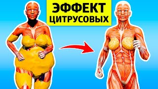 6 ПРИЧИН ЕСТЬ ЦИТРУСОВЫЕ КАЖДЫЙ ДЕНЬ