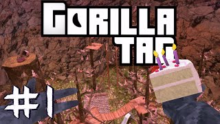 Gorilla Tag Playing In Mountains // Gtag (Live)