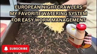 Working with the European Worms, my favorite watering machine. #worms #compost #composting