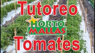 HORTOMALLAS instalada horizontalmente en cultivo de tomates