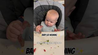 Baby led weaning-meat! #parentingtips #blw #shorts