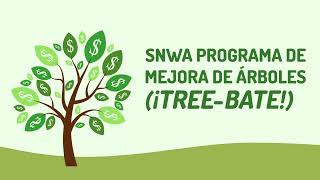 🌳💰 Plantar árboles da dinero: ¡ahorra agua, obtén dinero en efectivo y transforma tu Jardín!