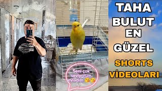 TAHA BULUT EN GÜZEL SHORTS VİDEOLARI @TBFTaha