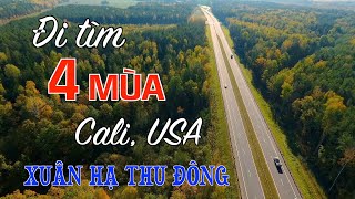 Đi Tìm 4 Mùa tại Cali, USA.  Xuân Hạ Thu Đông. Mùa nào cũng có vẻ đẹp tự nhiên và quyến rũ khác nhau