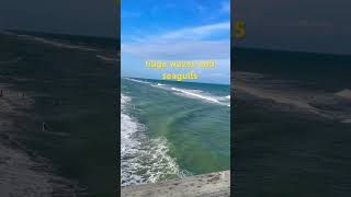 relaxing sound of seagulls and wave at the beach #atlantic #seagull #sea #nature #birdsounds