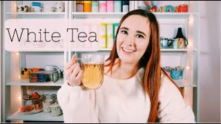 All about White Tea | The Basics of Tea