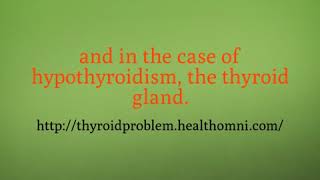 Diseases Associated With Hypothyroidism