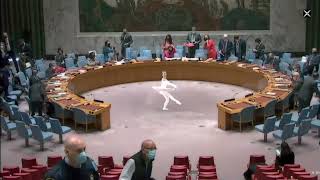 "Traumtänzer" by United Nations Security Council