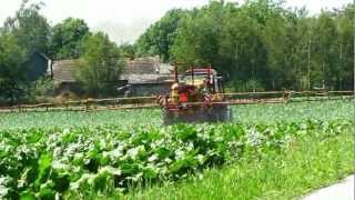 Belarus 820 i zetor 7441 w akcji czyli Dokarmianie 2012