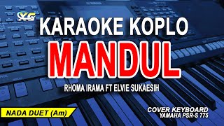 MANDUL KARAOKE KOPLO DANGDUT (RHOMA IRAMA)