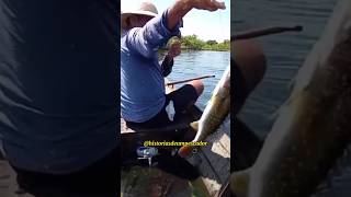 #viral #fishing #pescador #shortvideos #pesca #pescaria #fy