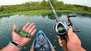 Fishing GRASS MINEFIELDS With Topwater Frogs! (Spring Kayak Fishing)