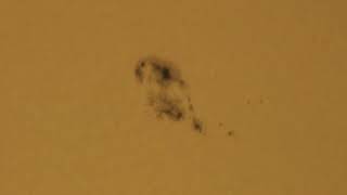 Sunspots 3354 (28 June 2023)