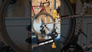 CORiMA HUB SOUND !!! #cycling #bikelife #dreambuild