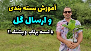 😱 چندتا گل بسته بندی کردم و اونا رو پرتاب کردم ده تا پشتک زدن 😬